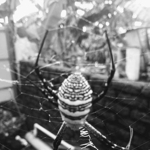 Photo #7014332