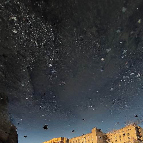 Photo #7014549