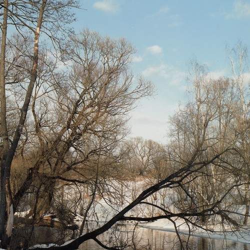Лучи на снегу