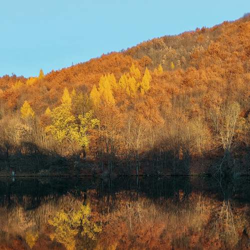 Photo #7015092