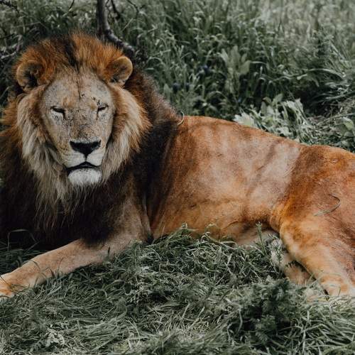 Photo #7015113
