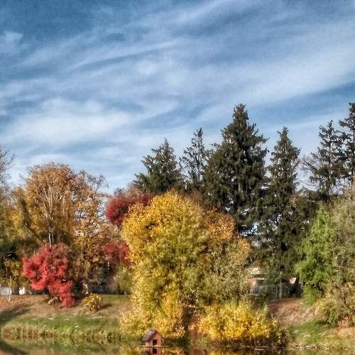 Photo #7015563