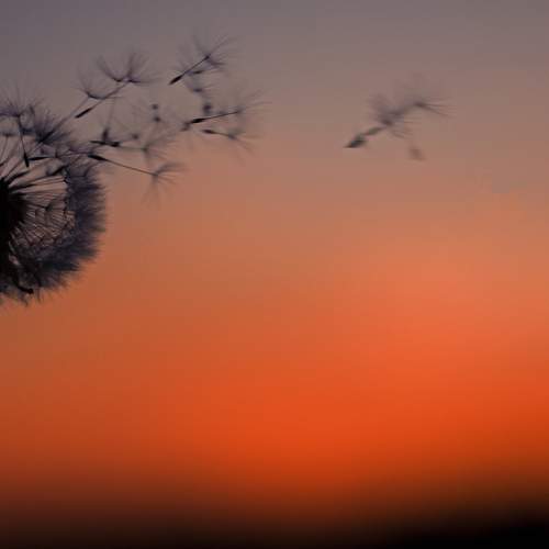 Photo #7015762