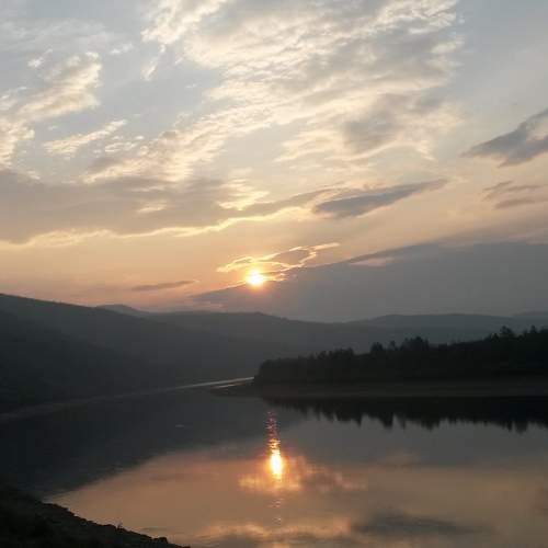 Photo #7015768
