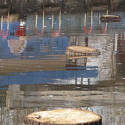 Photo #7015784