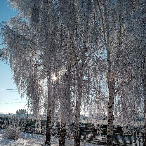 Photo #7016140