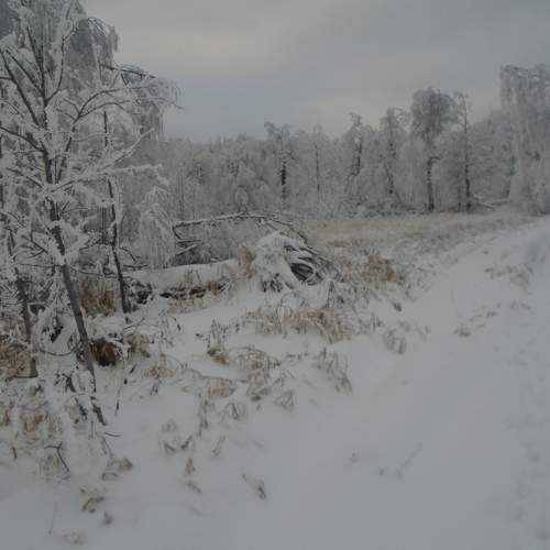 Photo #7016148