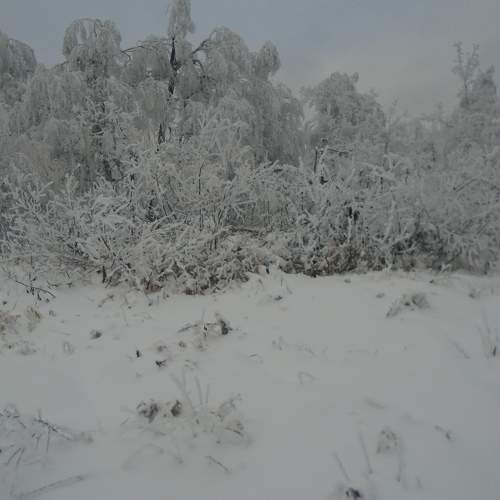 Photo #7016173