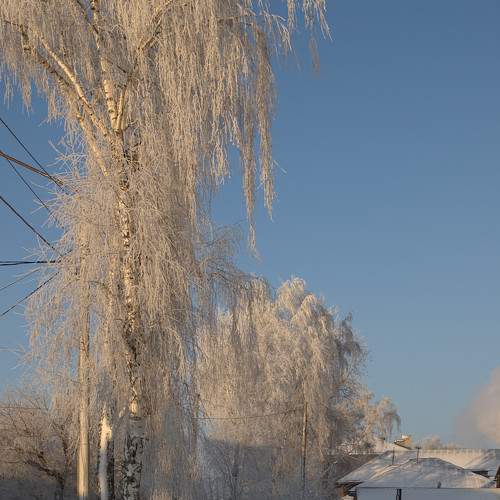 Photo #7016294