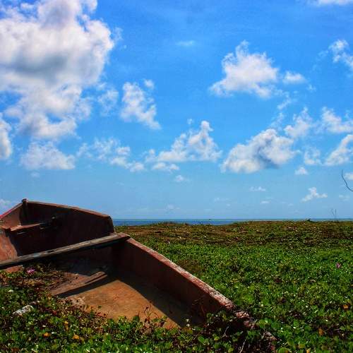 Photo #7016624