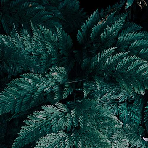 Photo #7016903