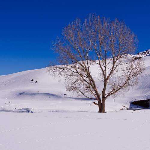 Photo #7017028