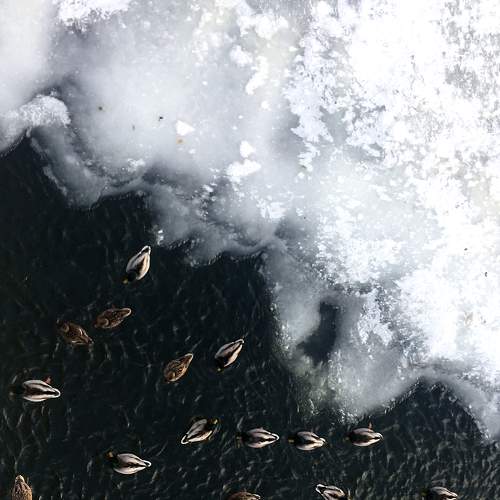 Photo #7017152