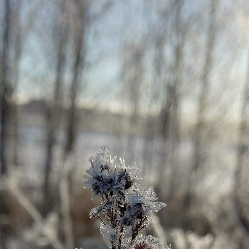 Photo #7017508