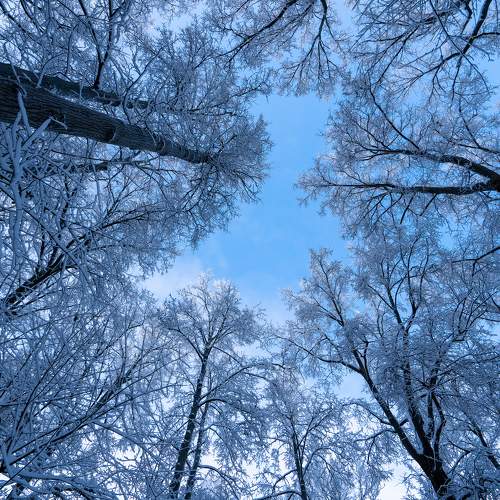 Photo #7017687
