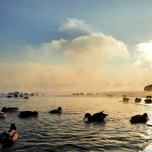 Photo #7017873