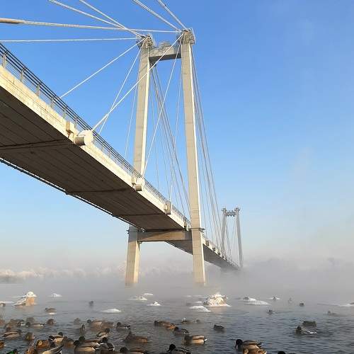 Photo #7017875