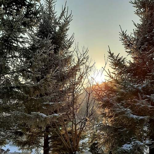 Photo #7018142