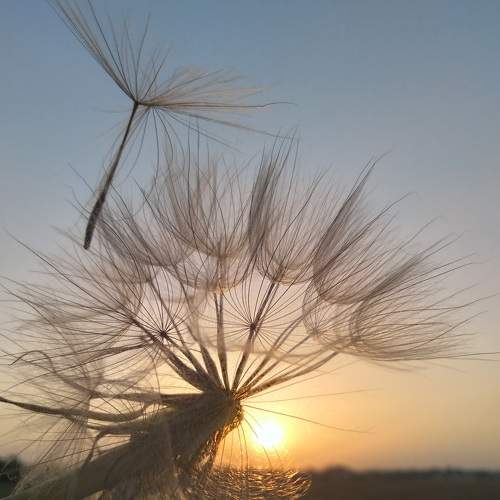 Photo #7018462