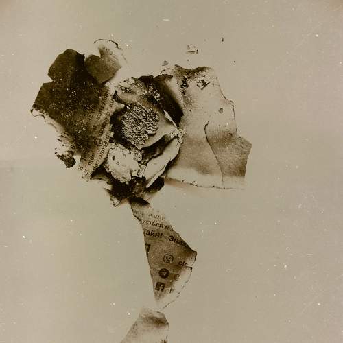 Flowers from the ashes