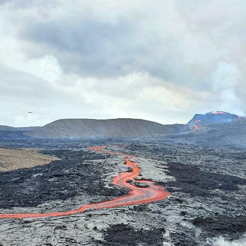 Photo #7018596