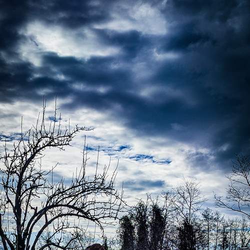 Photo #7018656