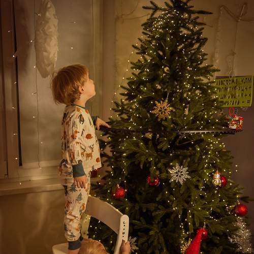 Photo #7018658