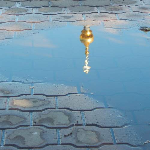 Photo #7018911