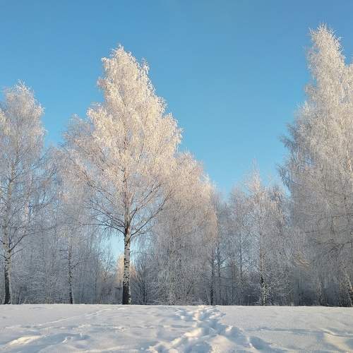 Photo #7018985