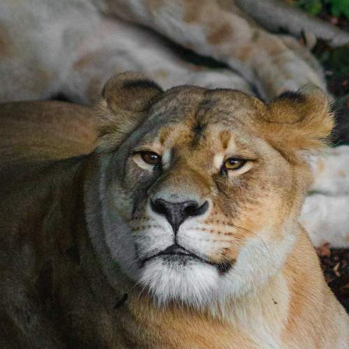 Photo #7019068