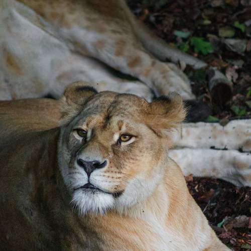 Photo #7019071