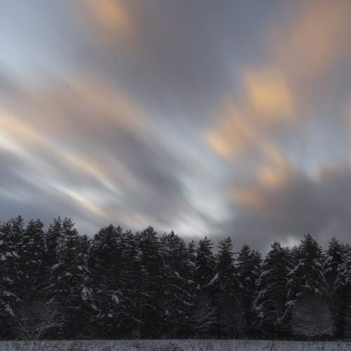 Photo #7019408