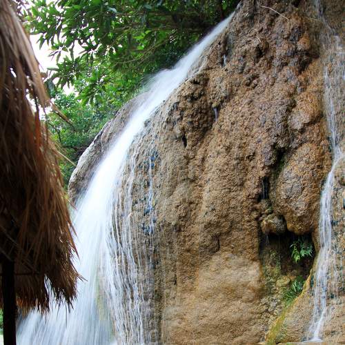 Photo #7019522