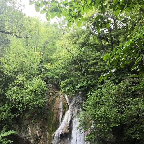 Photo #7019590