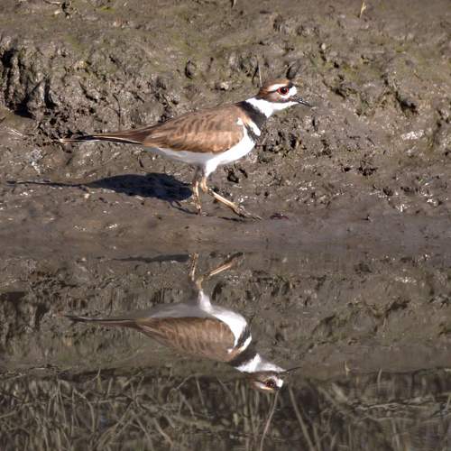 Photo #7019829