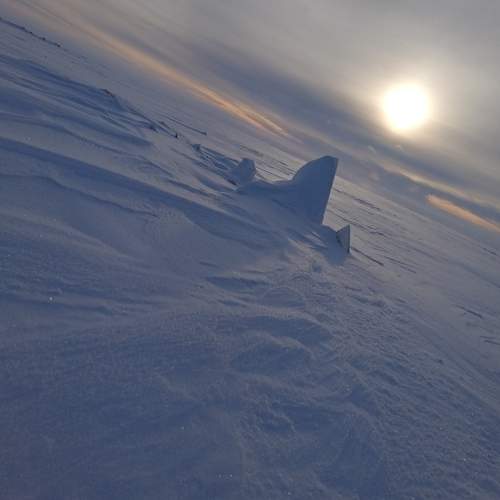 Photo #7019953