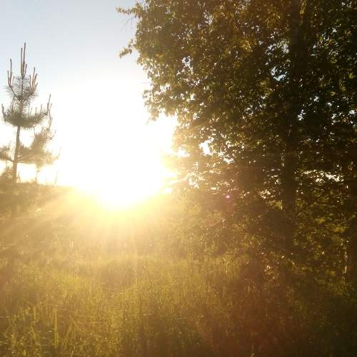Photo #7020173