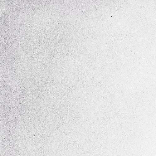 Photo #7020231