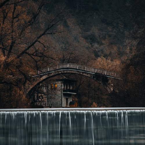 Photo #7020261