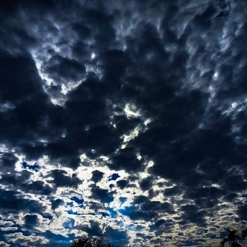 Photo #7020319