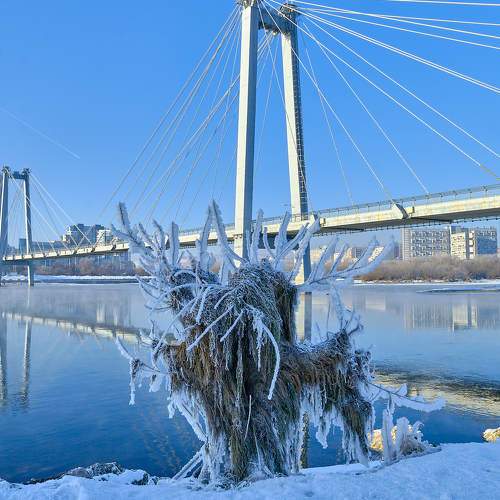 Photo #7020374
