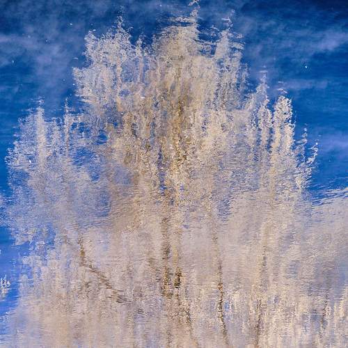 Photo #7020394