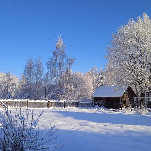 Photo #7020400