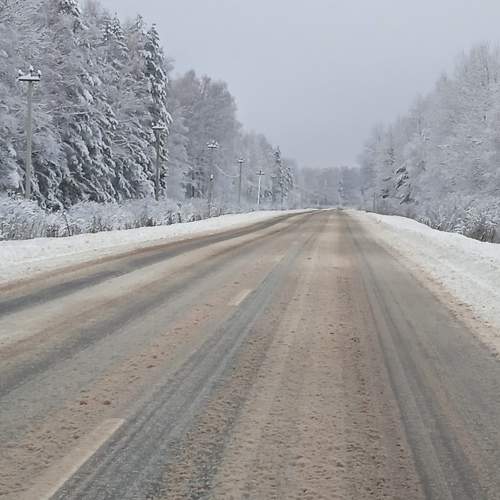 Photo #7020401