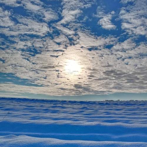 Photo #7020402