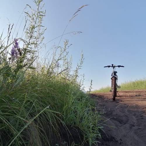 Photo #7020487