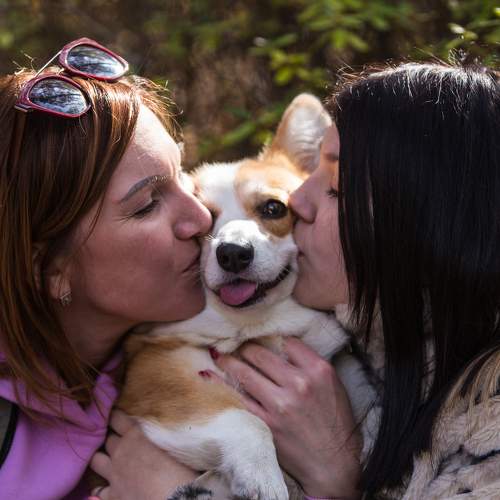 Я балдею, меня зацеловали