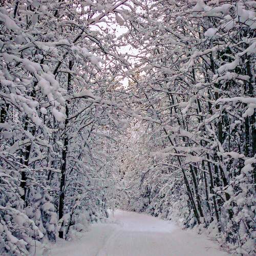 Photo #7020770