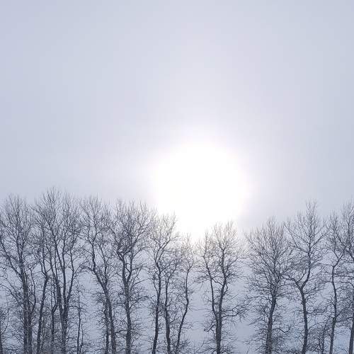 Photo #7020822