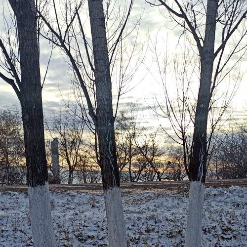 Photo #7020829